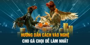 vào nghệ cho gà chọi