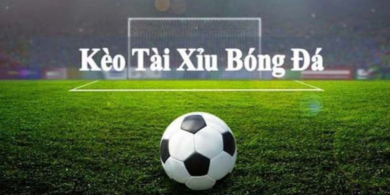 Mẹo bắt kèo tài xỉu dành cho bạn